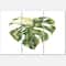 Designart - Tropical Green Leaves In Summer Times III - Tropical Canvas Wall Art Print